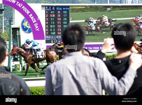 六合彩生肖對照表|The Hong Kong Jockey Club